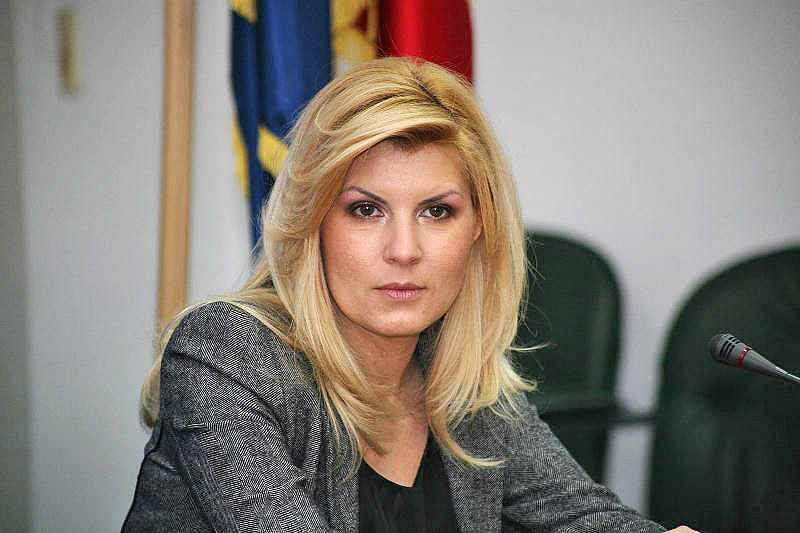 Averea Elenei Udrea, verificată de Agenţia Naţională de Integritate