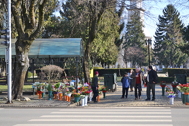 Dragobetele, învins de Valentine’s Day