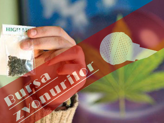 Etnobotanicele, un pericol bagatelizat