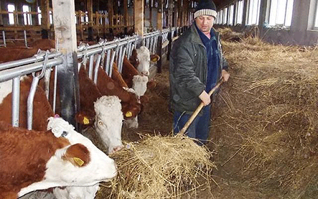 Vremuri grele pentru fermieri