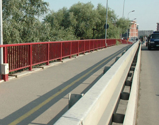 Salvată de la moarte de pescari