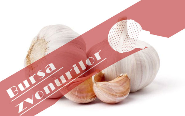 Nici usturoi n-a mâncat,  nici gura nu-i miroase