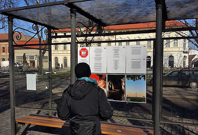 Minutul de cultură, lansat la Carei