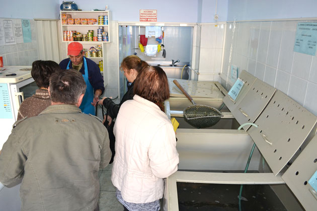 Dezlegare la peşte... după buget