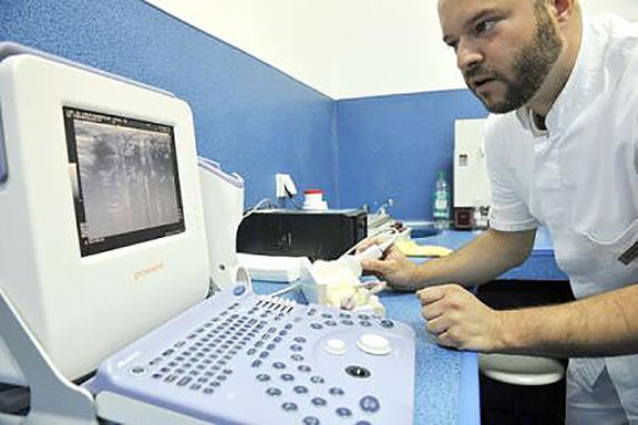 Costul medical al perturbatorilor endocrini este evaluat la 157 de miliarde de euro pe an în UE