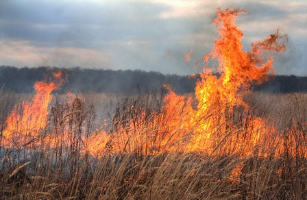 Peste o mie de baloţi de paie făcuţi scrum la Botiz