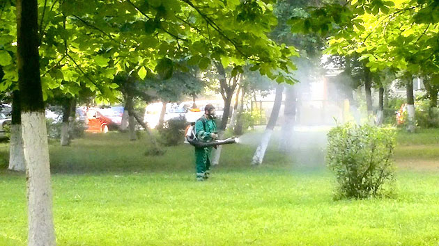 Începe marea dezinsecţie în municipiul Satu Mare