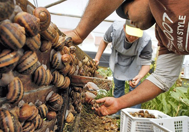 Fermele exotice şi-au închis porţile