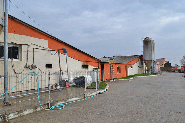 Mobilizare exemplară pentru sprijinirea patronului păgubit din Livada