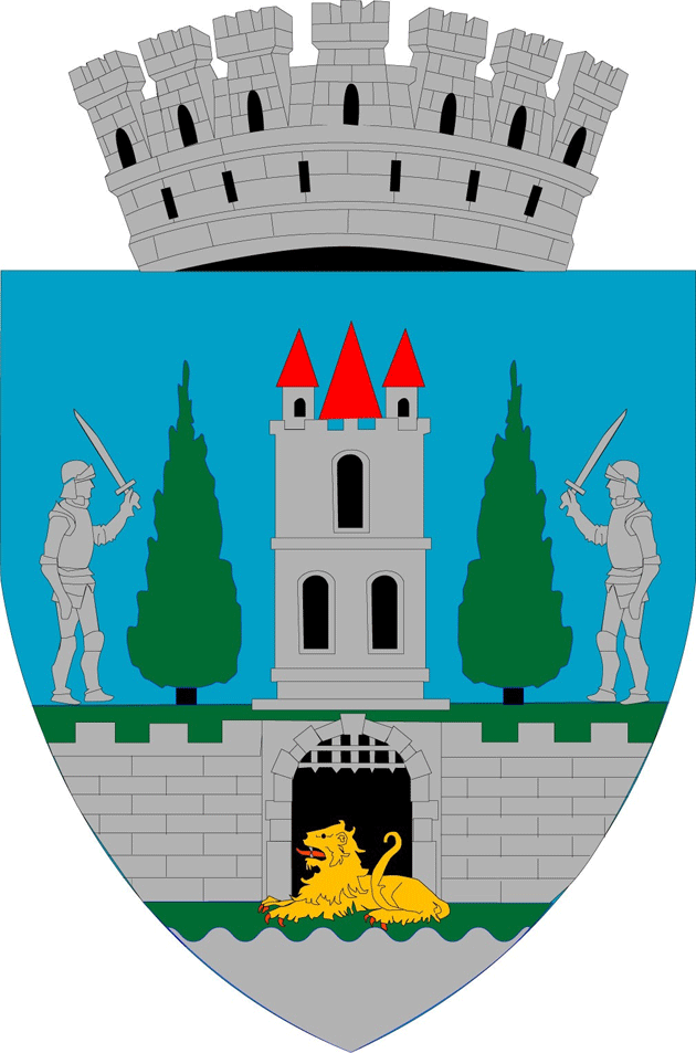 Noua stemă a Sătmarului, la mâna consilierilor locali