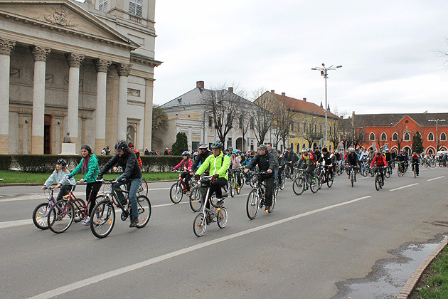 Ora Pământului, marcată la Satu Mare printr-o suită de activităţi