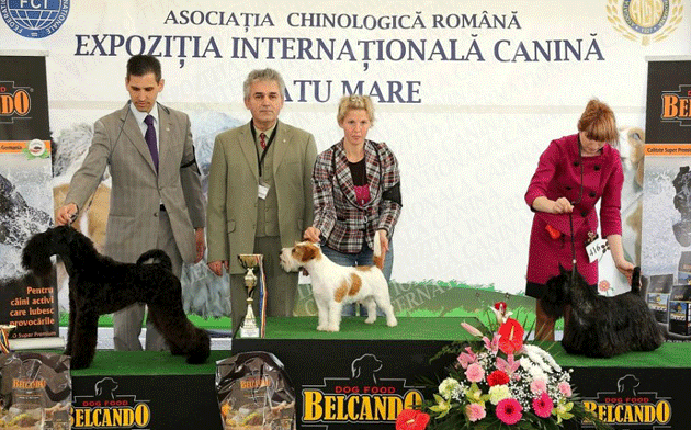 O nouă ediţie International Dog Show la Satu Mare