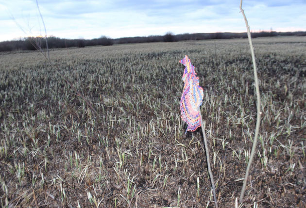 Scheletul unui bărbat, descoperit pe un câmp lângă Resighea