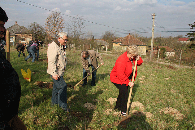 Copiii au plantat pomi fructiferi pentru persoanele cu dizabilităţi