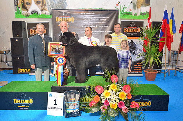 International Dog Show îşi deschide porţile
