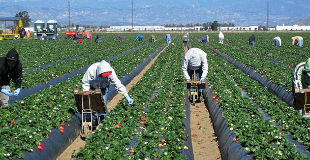Fonduri nerambursabile pentru întreprinzătorii sătmăreni