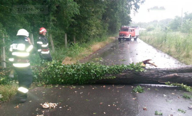 Furtuna a făcut ravagii în judeţ