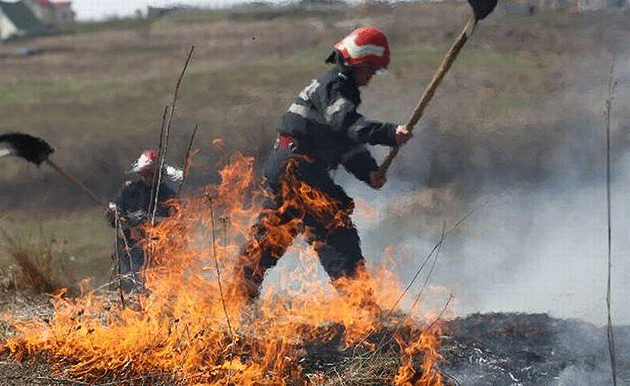 Neglijenţa mistuie miriştile sătmărene