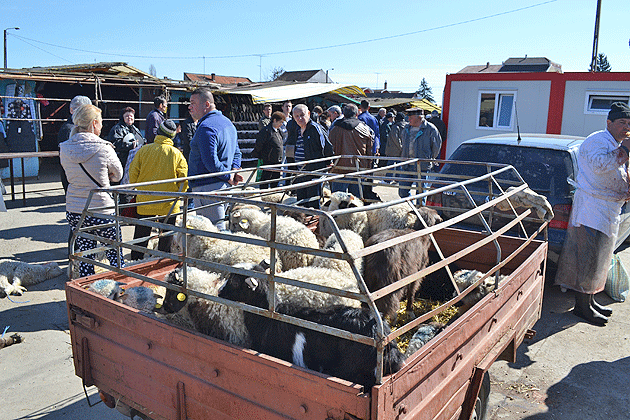 Mieii au avut mare trecere în Piaţa de Vechituri