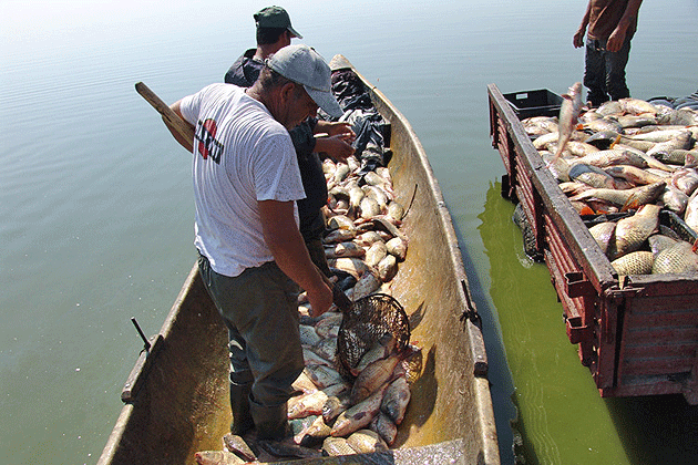 Poliţiştii pornesc la pescuit de braconieri