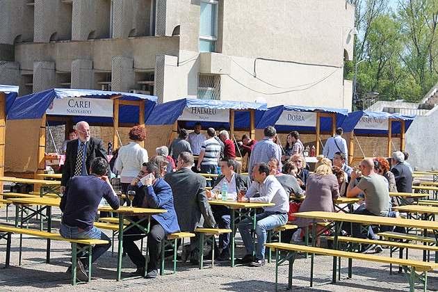 S-a dat startul sărbătorii vinului sătmărean