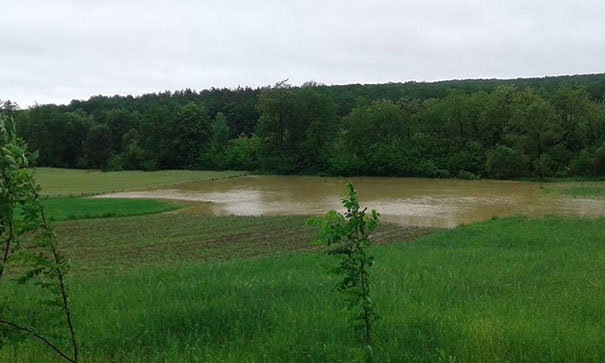 UPDATE. Localități din județul Satu Mare sunt AFECTATE de INUNDAȚII. IMAGINI de la faţa locului