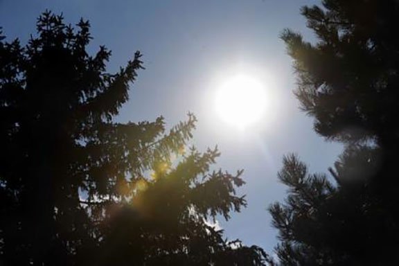 Creșterea temperaturilor va provoca 30.000 de decese pe an în Europa în 2030