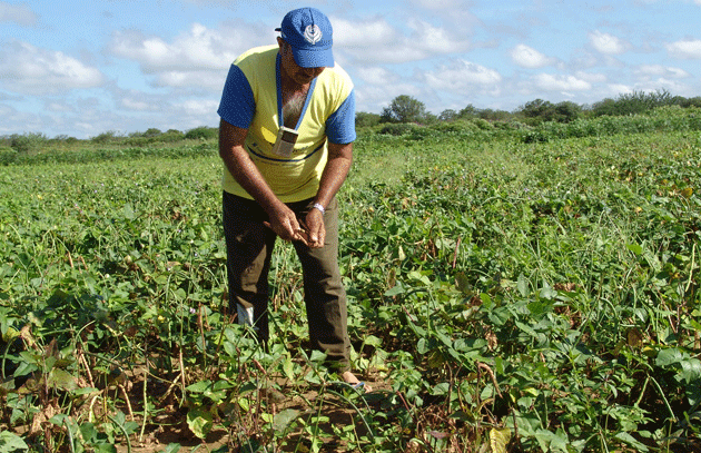 Jumătate din populaţia judeţului activează în agricultură