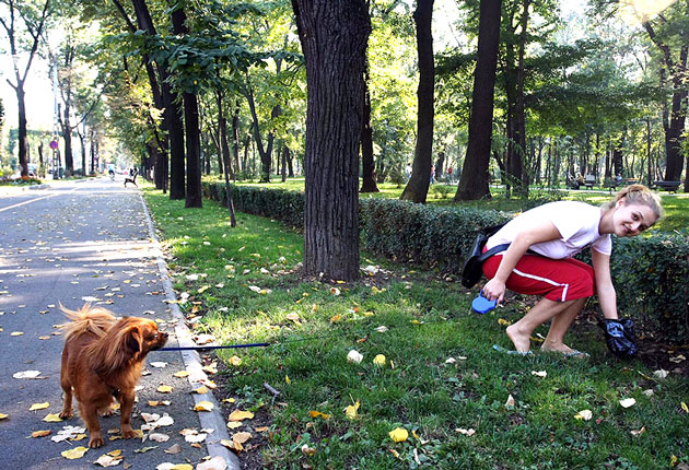 Animalele de companie, luate la control de Poliţia Locală