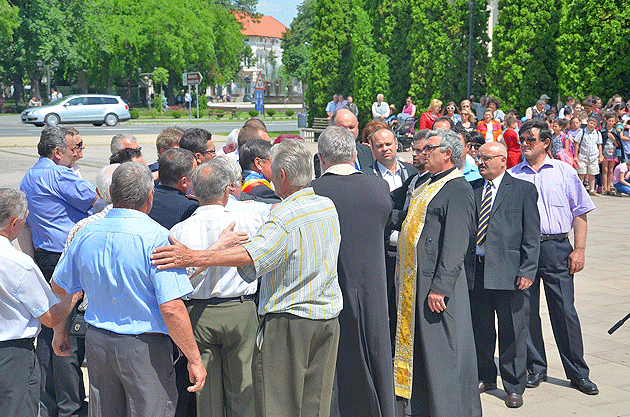 Ziua Eroilor, marcată la Carei
