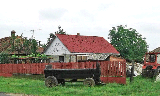 Mii de locuinţe şi terenuri agricole afectate de furtună