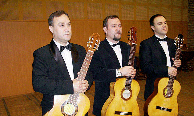 Regal de muzică la Satu Mare