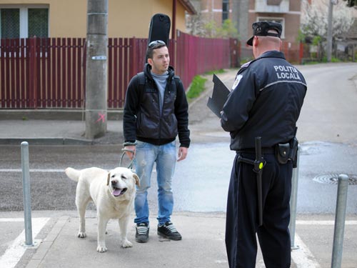 Animalele de COMPANIE, luate la CONTROL de Poliţia Locală. VEZI ce AMENZI riscă