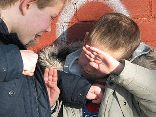 Doi elevi s-au luat la pumni  în Micula Nouă