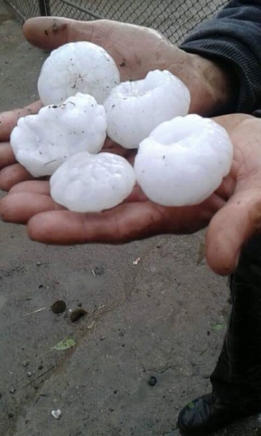 După POTOP inventariem PAGUBELE. MII de hectare CALAMITATE de grindină în judeţ