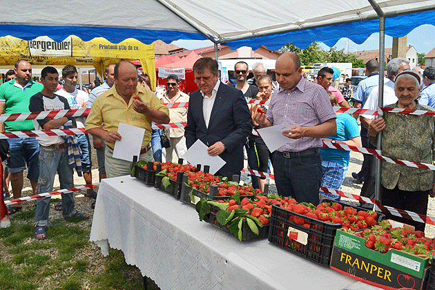 Căpşunarii au sărbătorit pe cinste la Halmeu