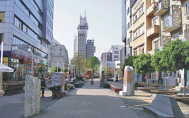 Municipiul Satu Mare, polul de dezvoltare al judeţului