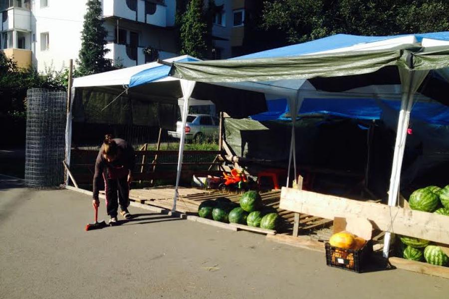 LEBENIŢARII din Satu Mare se pregătesc să dea LOVITURA. O AFACERE cu iz de ŢEAPĂ