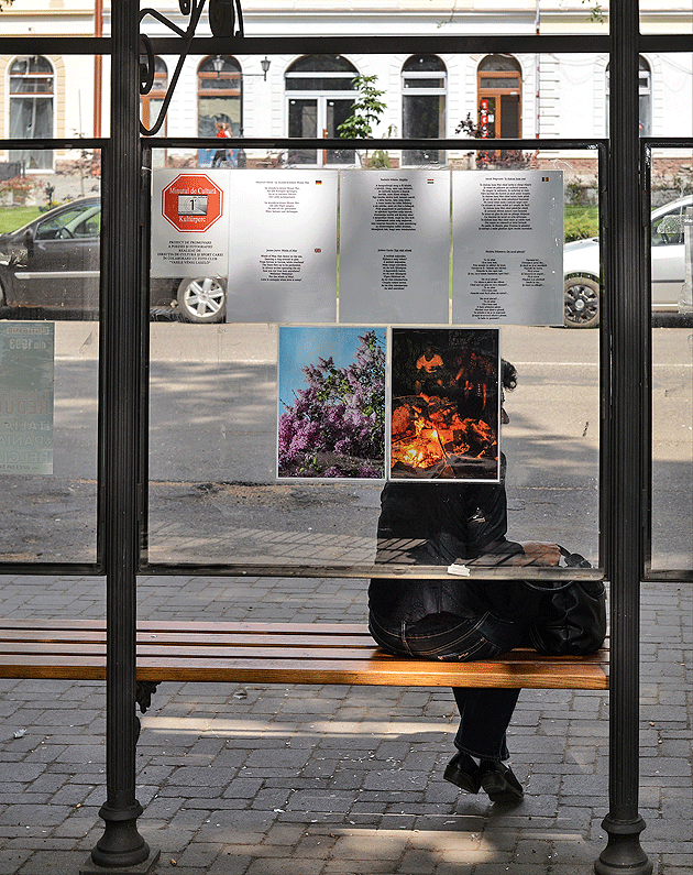 Minutul de cultură continuă în stațiile de autobuz din Carei