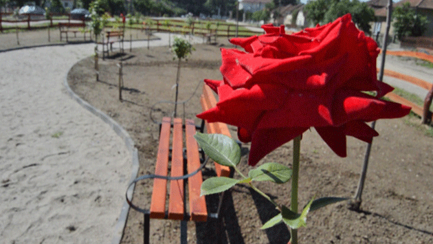 Parcul Trandafirilor la Livada