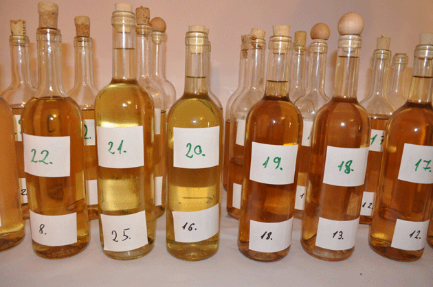 Vinurile sătmărene, tot mai apreciate în ţară