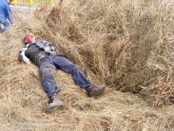 Bătrân TÂRÂT după căruţă ZECI de metri. A SCĂPAT miraculos