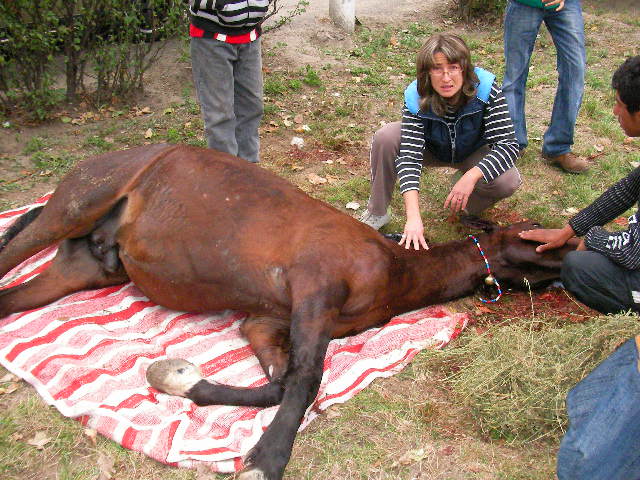 SANYO DIGITAL CAMERA