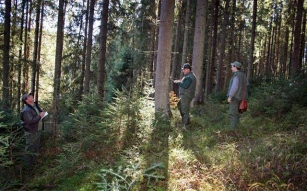O TREIME din judeţ trebuie RETROCEDAT. DISPUNEM de atâta PĂMÂNT?!
