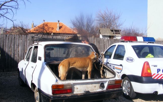 MINORI prinşi la BRACONAT în JUDEŢ. POLIŢIA le-a întocmit DOSARE PENALE