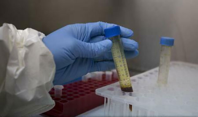 O nouă creștere a cazurilor de Ebola în Guineea și Sierra Leone