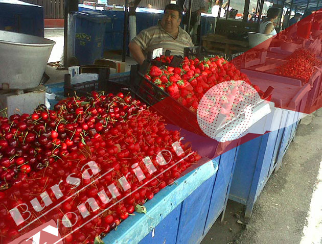 Reducerea TVA nu afectează samsarii