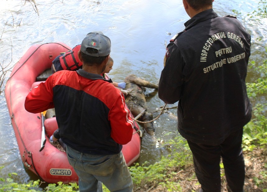 CADAVRUL unui tânăr, găsit PLUTIND pe SOMEȘ