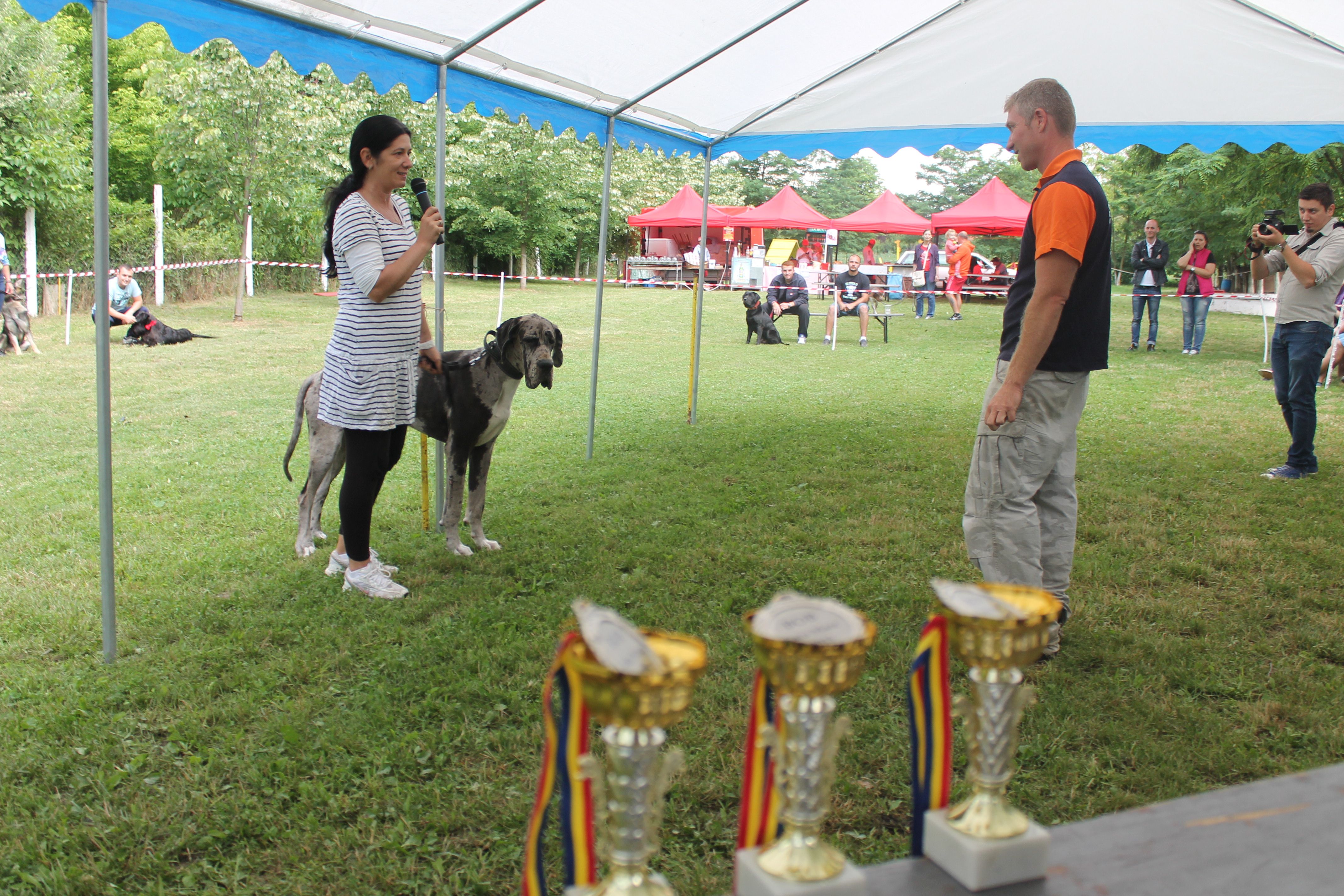 Canicross, eveniment organizat în premieră la Satu Mare
