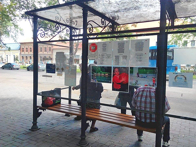 Minutul de cultură continuă la Carei